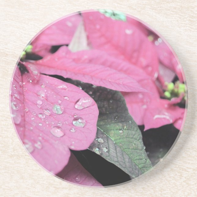 Porta-copos De Arenito Flores (Frente)