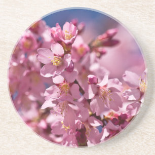 Porta-copos De Arenito Flores de Cerejeira Sakura Beijadas pela Luz do So