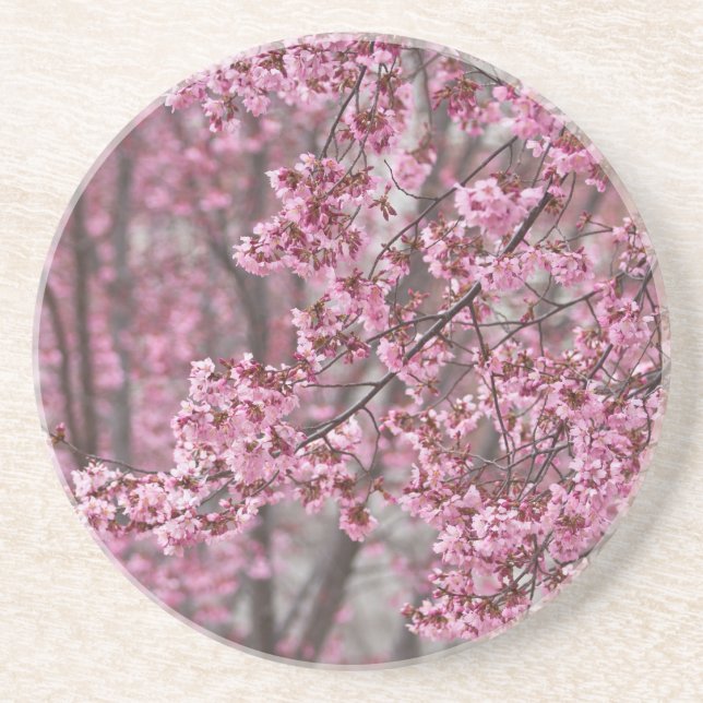 Porta-copos De Arenito Flores de Cerejeira Sakura Cor-de-Rosa Fluindo (Frente)