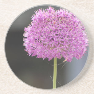 Porta-copos De Arenito Flores para Todos