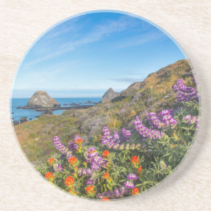 Porta-copos De Arenito Flores Silvestres de Lupino e Pincel de Pintor