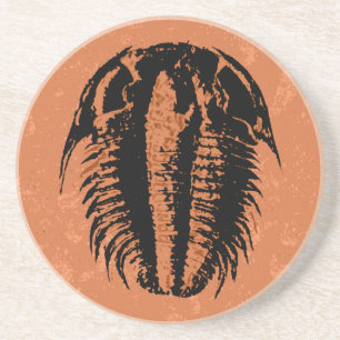 Porta-copos De Arenito Fóssil Trilobite de Modocia Typicalis