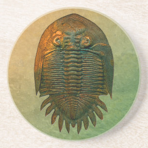 Porta-copos De Arenito Fóssil Trilobite de Neometacanthus