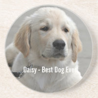 Foto e nome do cão de retenção do Ouro personaliza