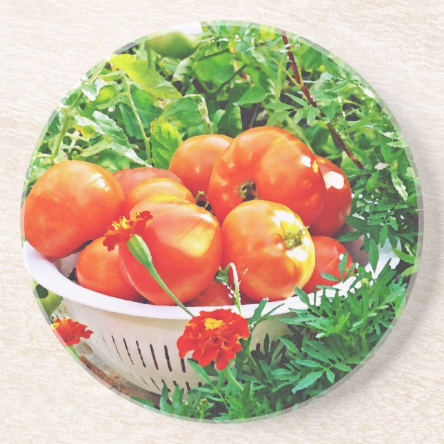 Porta-copos De Arenito Garden Goodies (Frente)