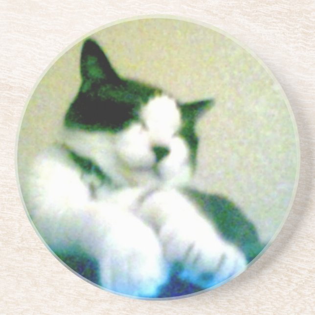 Porta-copos De Arenito gatinho descontraído bonito (Frente)