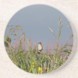 Porta-copos De Arenito Gato-gordo