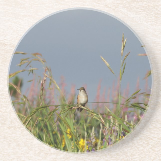 Porta-copos De Arenito Gato-gordo (Frente)