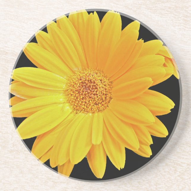 Porta-copos De Arenito Gerbera Daisy (Gerbera hybrida) - Amarelo (Frente)