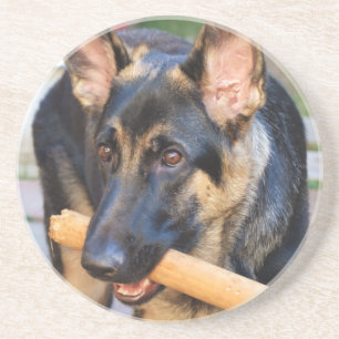 Porta-copos De Arenito German shepherd por Shirley Taylor