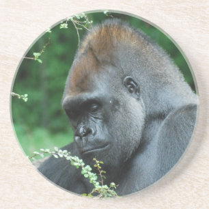 Porta-copos De Arenito Gorila desagradável
