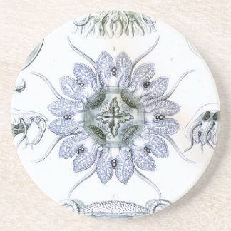 Porta-copos De Arenito Haeckel