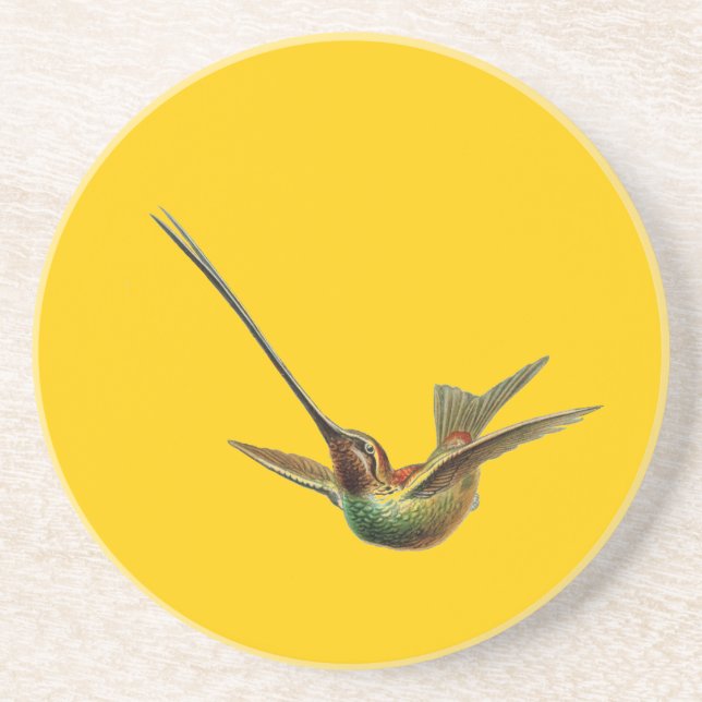 Porta-copos De Arenito Haeckel Bird (Frente)