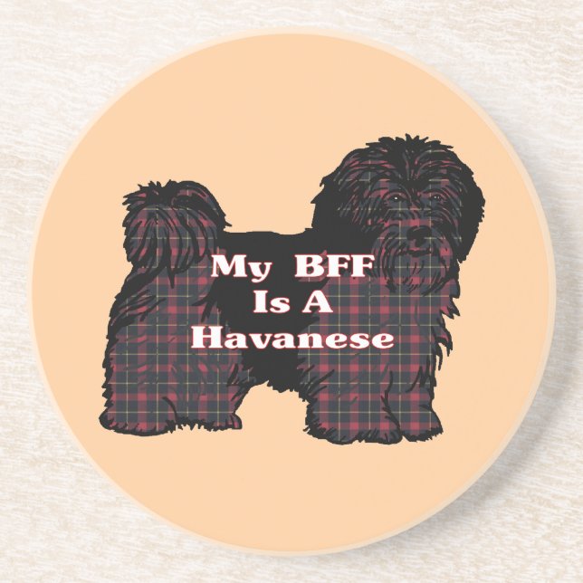 PORTA-COPOS DE ARENITO HAVANESE BFF (Frente)