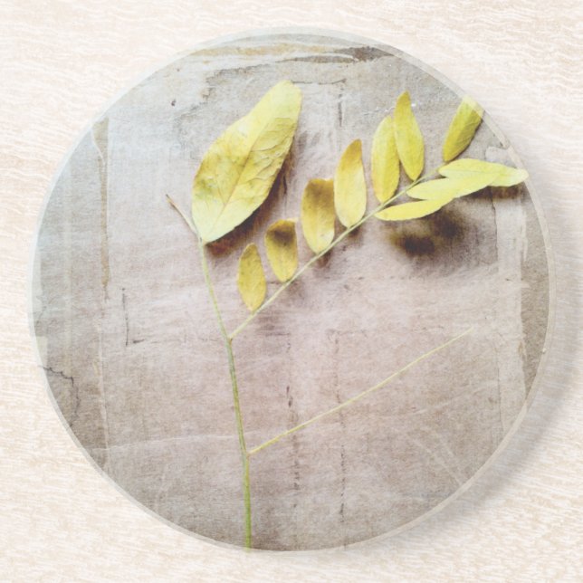 Porta-copos De Arenito Herbário V (Frente)