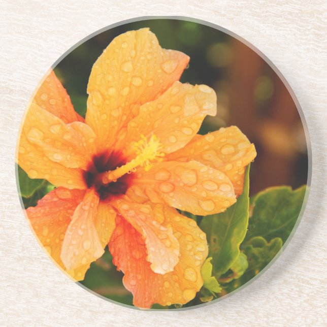 Porta-copos De Arenito Hibiscus (Frente)