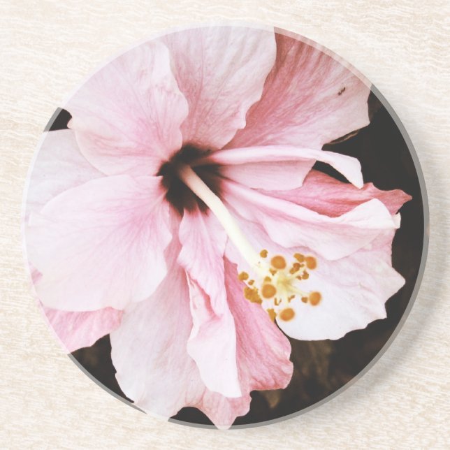 Porta-copos De Arenito Hibiscus rosa (Frente)