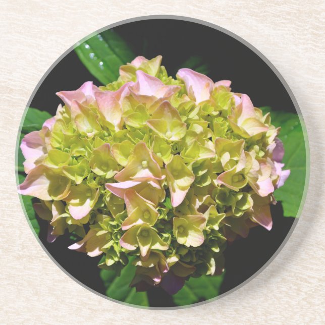 Porta-copos De Arenito Hídranga floral verde-rosa-esverdeado Elegante (Frente)