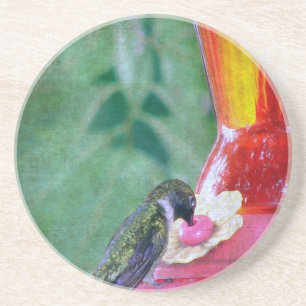Porta-copos De Arenito Hummingbird no alimentador