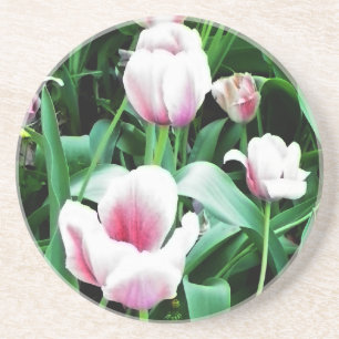 Porta-copos De Arenito Imagem de Tulipas Rosa