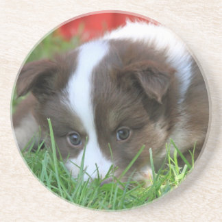 Porta-copos De Arenito Islandhund