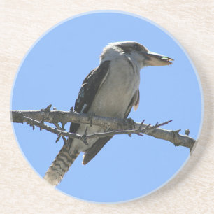 Porta-copos De Arenito Kookaburra australiano