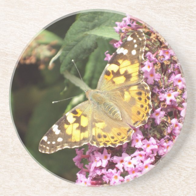 Porta-copos De Arenito Lady Butterfly Pintada (Frente)