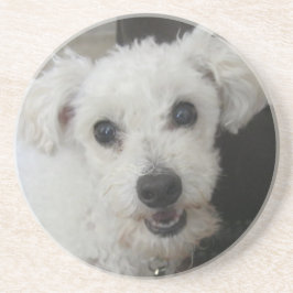 Porta-copos De Arenito Lambchop II