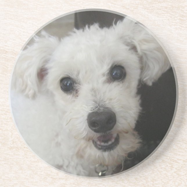 Porta-copos De Arenito Lambchop II (Frente)