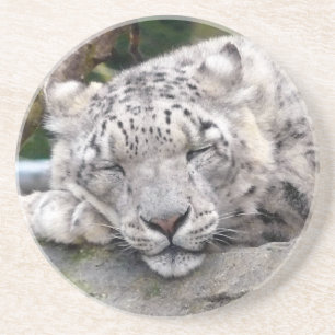Porta-copos De Arenito Leopardo de neve - bonito!