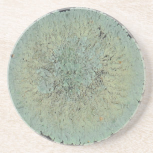 Porta-copos De Arenito Lichen Mossy Circle