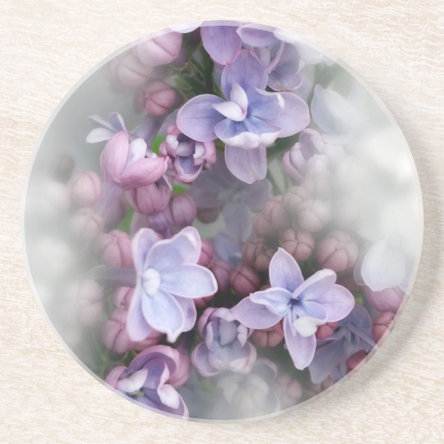 Porta-copos De Arenito Lilac florescendo (Frente)