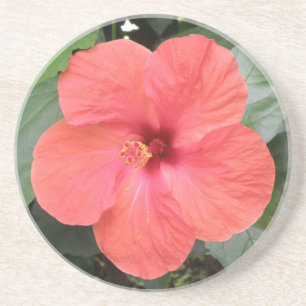 Porta-copos De Arenito Lindas Portas copos de Flor Laranja Hibiscus
