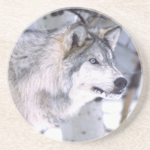 Porta-copos De Arenito Lobo Cinzento, Canis lupus, Animal de Filme (Utah)