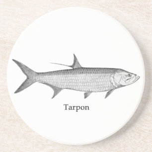 Porta-copos De Arenito Logotipo do tarpão (linha arte)