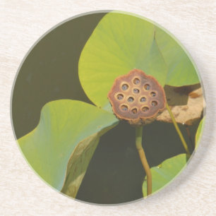 Porta-copos De Arenito Lotus Pod e Lilly Pad