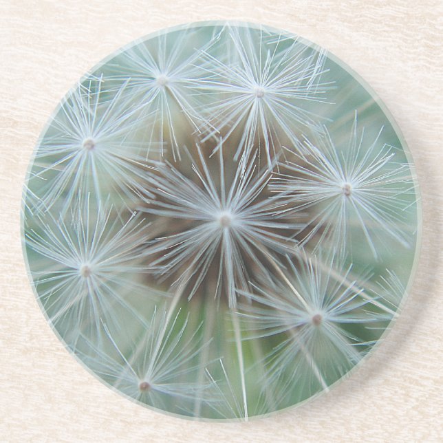 Porta-copos De Arenito Löwenzahnmuster (Frente)