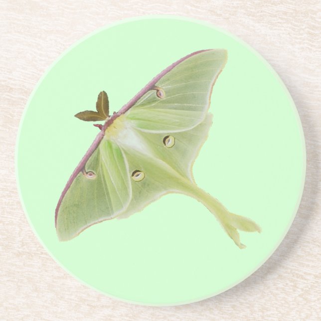 Porta-copos De Arenito Luna Moth (Frente)