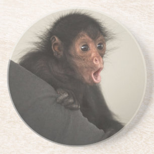Porta-copos De Arenito Macaco-aranha-de-cara-vermelha Ateles paniscus)