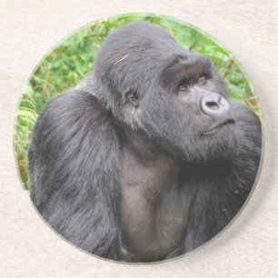 Porta-copos De Arenito Macaco Feliz