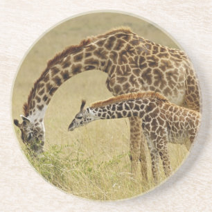 Porta-copos De Arenito Mãe e bebê Girafa Masai, Giraffa