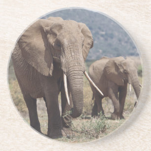 Porta-copos De Arenito Mãe elefante andando com filhote de elefante