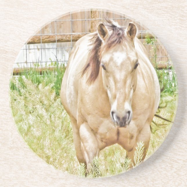 Porta-copos De Arenito Manhã Preguiçosa (Frente)