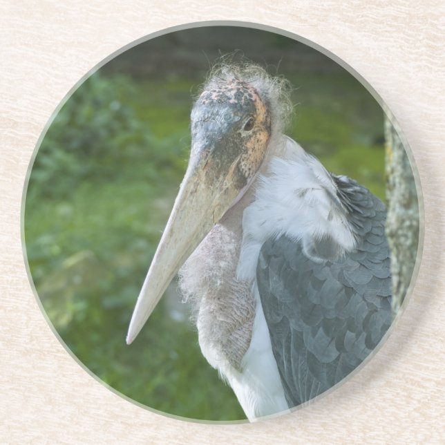 Porta-copos De Arenito Marabou (Frente)