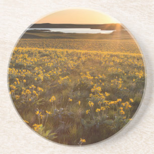 Porta-copos De Arenito Marca De Arroknowledge Balsamroot Wildflower