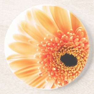 Porta-copos De Arenito Margarida Gerbera