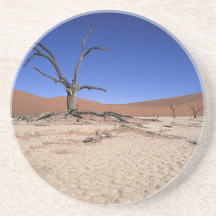 Porta-copos De Arenito Morto Vlei, Sossusvlei, Namib-Naukluft Nacional