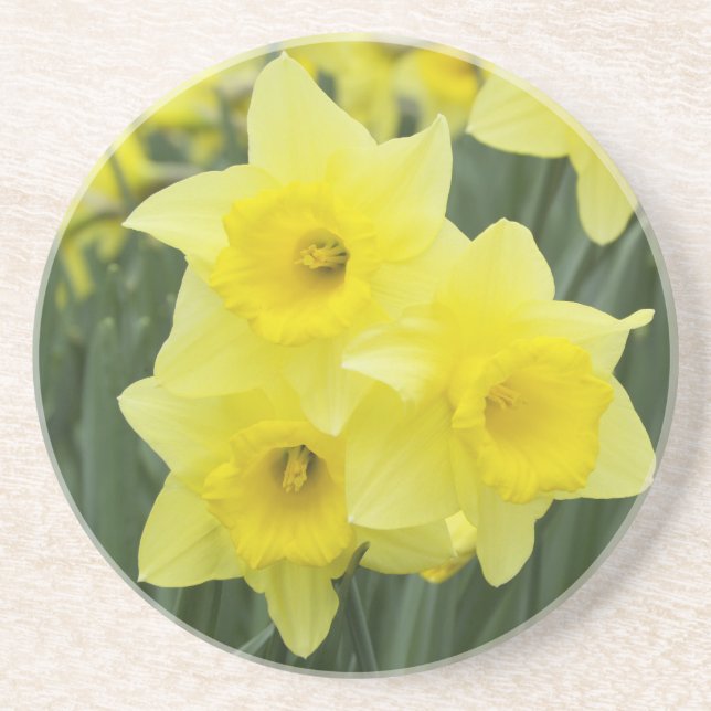 Porta-copos De Arenito Narcisos RF) (Frente)