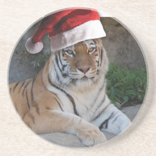Porta-copos De Arenito Natal Bengal Tiger