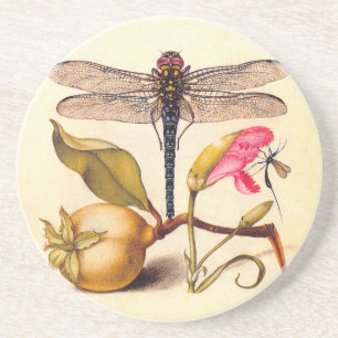 Porta-copos De Arenito Natureza Botânica Dragonfly